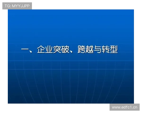 企业家精神驱动下的创新发展与企业转型升级路径探索